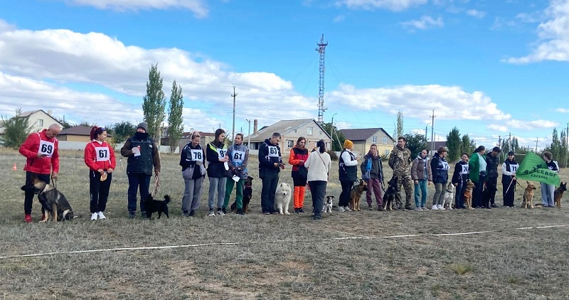 Чемпионат Волгоградской области по спортивно-прикладному собаководству в Дубовском районе